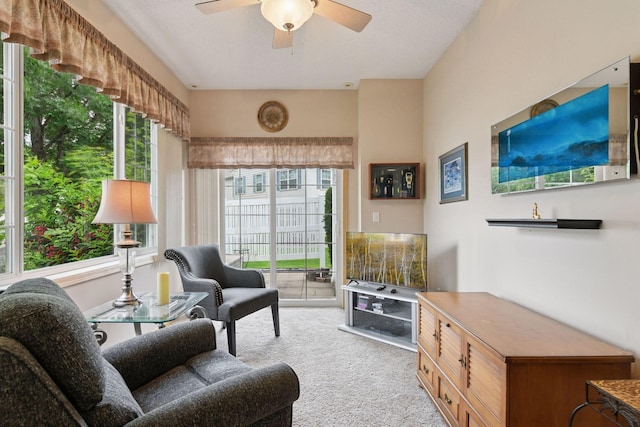 2014 Stahlke Way, Chaska, MN 55318 - living area featuring carpet and ceiling fan