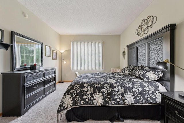 2014 Stahlke Way, Chaska, MN 55318 - bedroom with carpet, multiple windows, and a textured ceiling