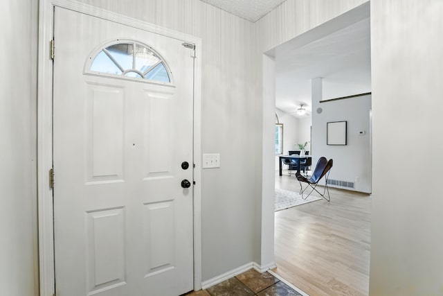 382 Tuttle Dr, Hastings, MN 55033 - foyer entrance featuring healthy amount of natural light
