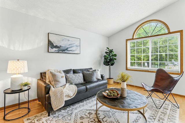 382 Tuttle Dr, Hastings, MN 55033 - living area with vaulted ceiling and wood finished floors