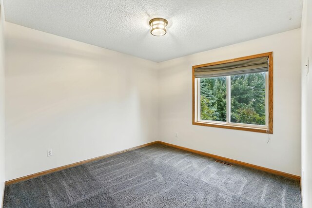 382 Tuttle Dr, Hastings, MN 55033 - empty room with carpet floors and a textured ceiling
