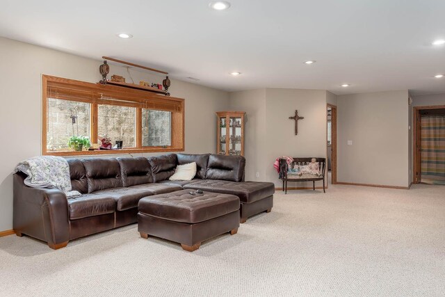 125 Thissen Ct, Mankato, MN 56001 - photo 22