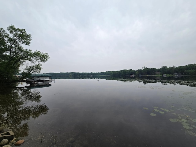 27891 Jerboa Ln, Cold Spring, MN 56320 - water view featuring a boat dock