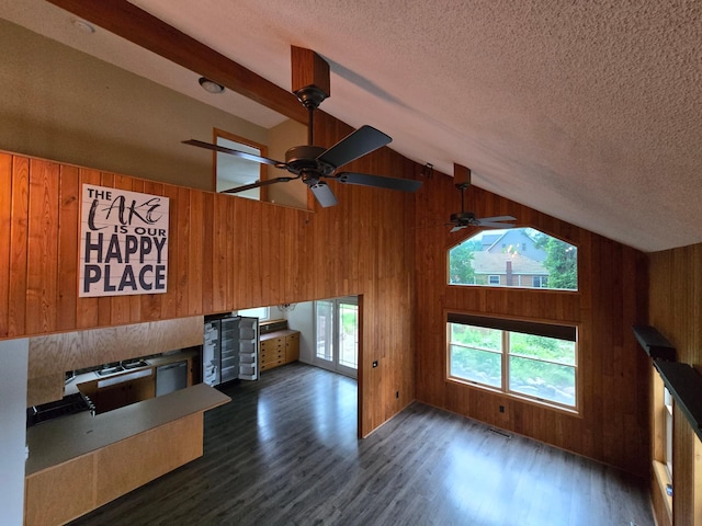 27891 Jerboa Ln, Cold Spring, MN 56320 - unfurnished living room featuring wood walls, ceiling fan, a textured ceiling, dark wood-type flooring, and high vaulted ceiling