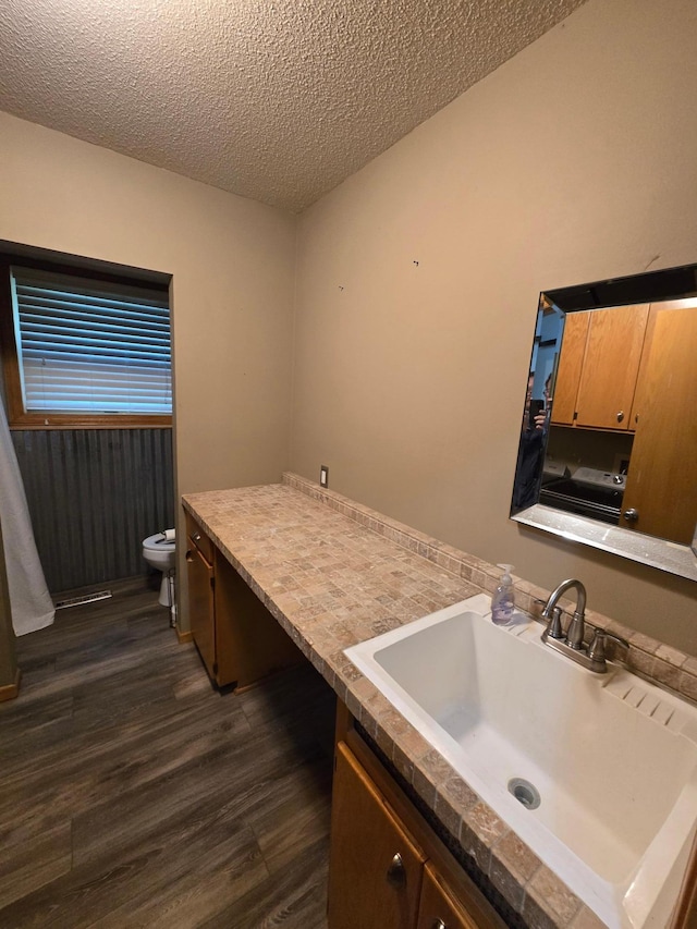 27891 Jerboa Ln, Cold Spring, MN 56320 - bathroom with wood finished floors, vanity, and a textured ceiling
