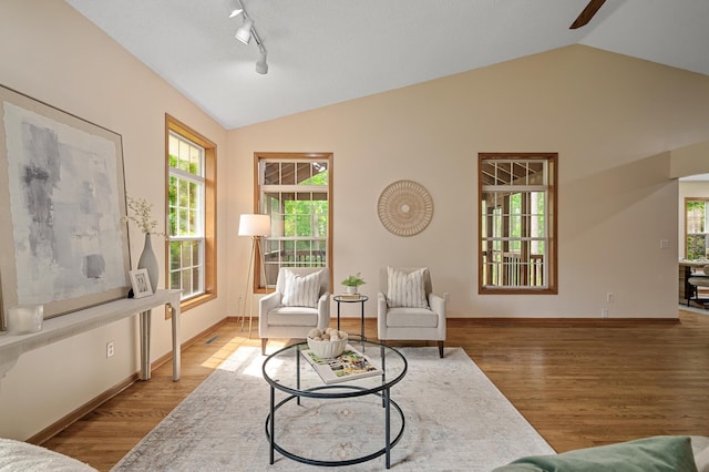 17121 Variolite St NW, Ramsey, MN 55303 - living room with lofted ceiling, wood finished floors, plenty of natural light, ceiling fan, and rail lighting