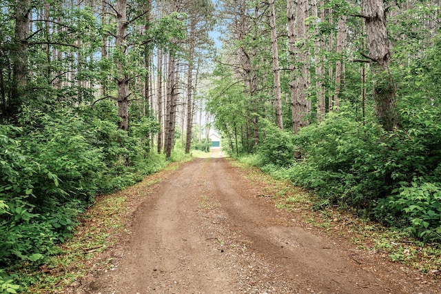 17121 Variolite St NW, Ramsey, MN 55303 - view of street with a view of trees