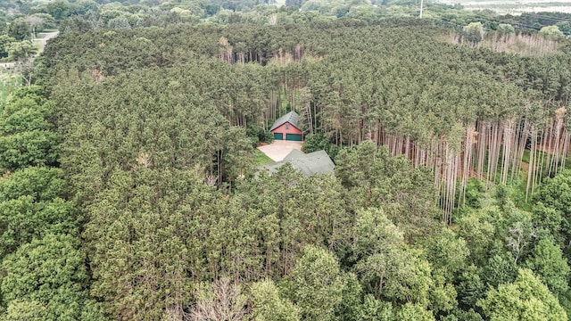 17121 Variolite St NW, Ramsey, MN 55303 - view of subject property featuring a forest