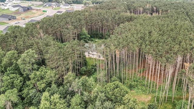 17121 Variolite St NW, Ramsey, MN 55303 - bird's eye view of a forest