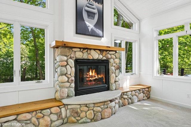 820 Vineland Ct, Chanhassen, MN 55317 - detailed view of a fireplace and carpet flooring