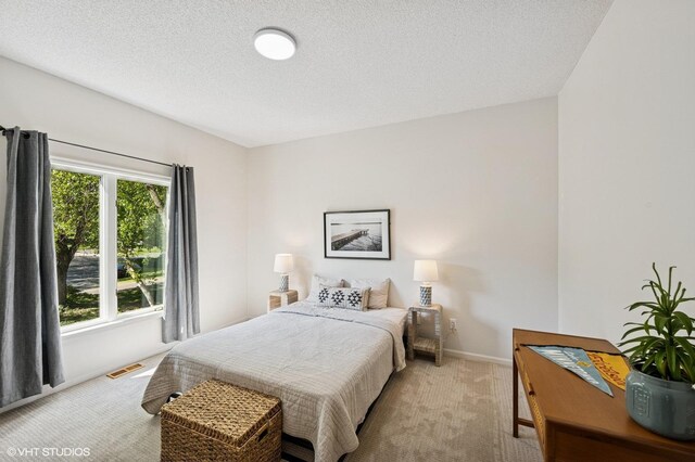 820 Vineland Ct, Chanhassen, MN 55317 - bedroom with carpet and a textured ceiling