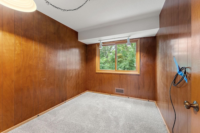 354 Edith Dr W, Saint Paul, MN 55118 - carpeted empty room with wood walls