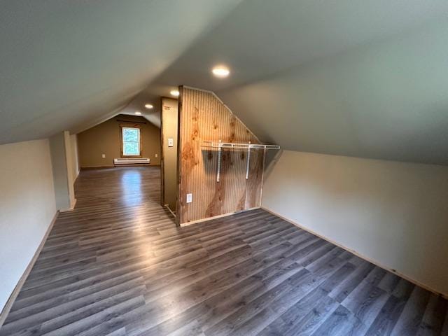 4623 Salo Rd, Waasa Twp, MN 55732 - additional living space featuring dark wood finished floors and lofted ceiling