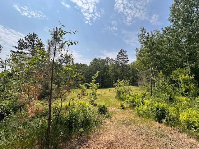 4623 Salo Rd, Waasa Twp, MN 55732 - view of wooded area