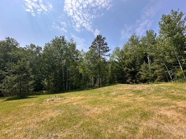 4623 Salo Rd, Waasa Twp, MN 55732 - view of tree filled area
