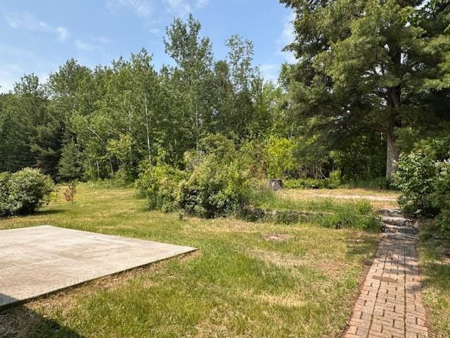 4623 Salo Rd, Waasa Twp, MN 55732 - view of grassy yard featuring a patio