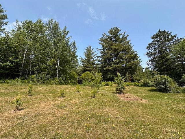 4623 Salo Rd, Waasa Twp, MN 55732 - view of undeveloped land