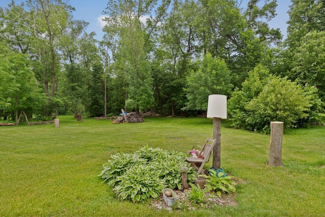 18221 Roberds Lake Blvd, Faribault, MN 55021 - photo 42