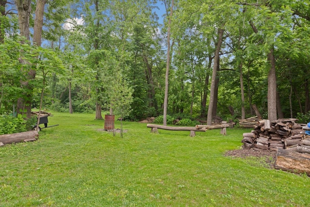 18221 Roberds Lake Blvd, Faribault, MN 55021 - photo 43