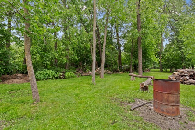 18221 Roberds Lake Blvd, Faribault, MN 55021 - photo 44