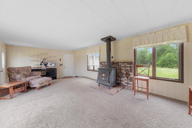 18221 Roberds Lake Blvd, Faribault, MN 55021 - photo 10