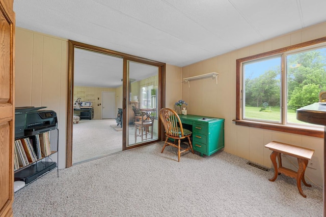 18221 Roberds Lake Blvd, Faribault, MN 55021 - photo 23