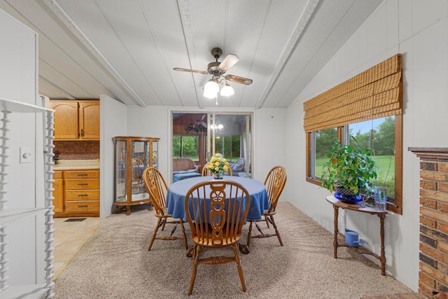 18221 Roberds Lake Blvd, Faribault, MN 55021 - photo 18