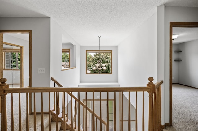 12306 Crown Hill Ct, Burnsville, MN 55337 - photo 29