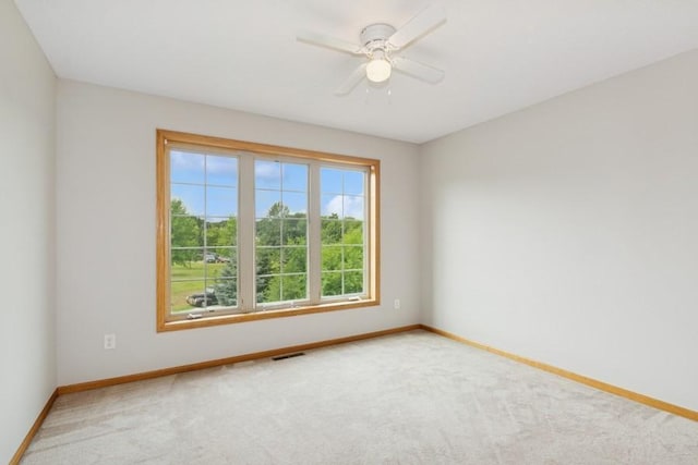 24091 113th St NW, Livonia Twp, MN 55398 - photo 32