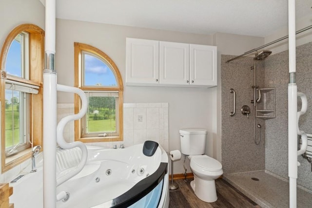 24091 113th St NW, Livonia Twp, MN 55398 - photo 29