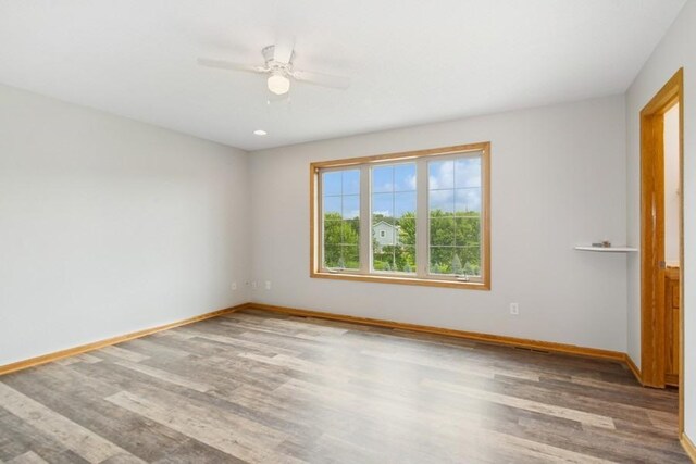 24091 113th St NW, Livonia Twp, MN 55398 - photo 28