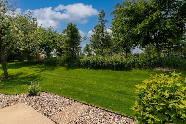 8741 Quarry Ridge Ln Unit H, Woodbury, MN 55125 - view of grassy yard