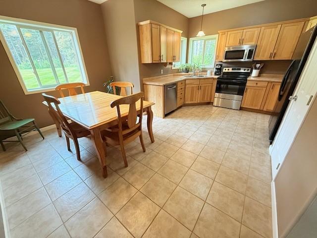 4648 Scotchpine Ct NW, Bemidji, MN 56601 - photo 16