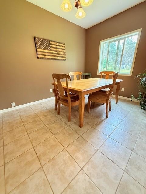 4648 Scotchpine Ct NW, Bemidji, MN 56601 - photo 18