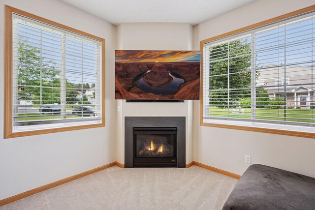 708 Willow Glen Dr Unit 1805, Buffalo, MN 55313 - photo 8