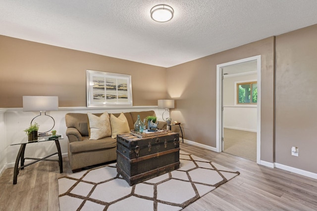 9700 265th St, Elko New Market, MN 55020 - living area featuring light wood finished floors and a textured ceiling