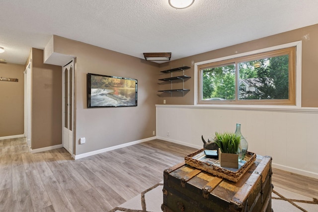 9700 265th St, Elko New Market, MN 55020 - living area with a textured ceiling and light wood-style floors