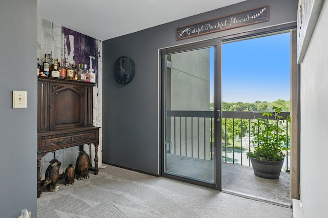 1181 Edgcumbe Rd Unit 501, Saint Paul, MN 55105 - doorway featuring carpet and a dry bar