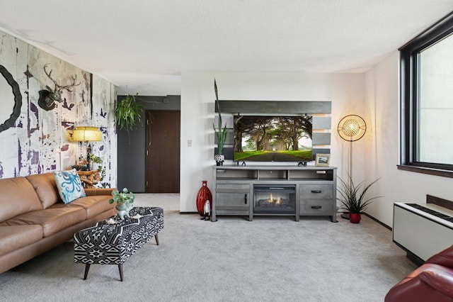 1181 Edgcumbe Rd Unit 501, Saint Paul, MN 55105 - living room with carpet flooring and a glass covered fireplace