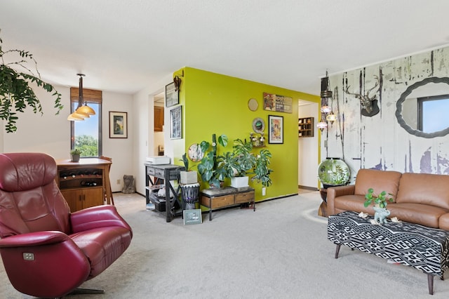 1181 Edgcumbe Rd Unit 501, Saint Paul, MN 55105 - living area featuring carpet flooring