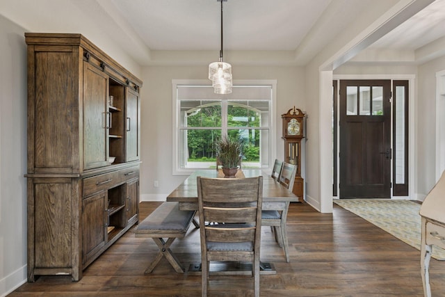 14217 Packard St NE, Ham Lake, MN 55304 - dining room with dark wood-style floors and a tray ceiling