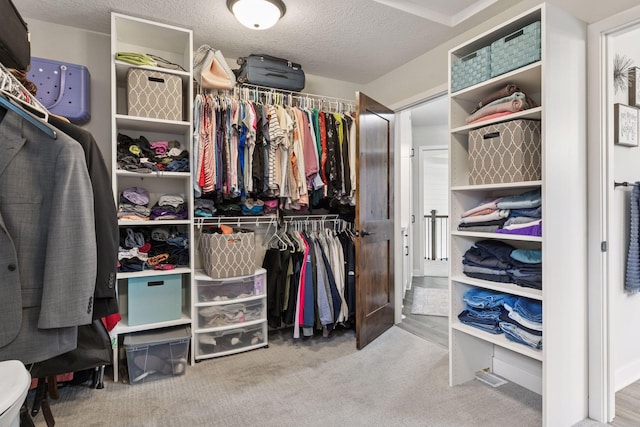 14217 Packard St NE, Ham Lake, MN 55304 - walk in closet with carpet flooring