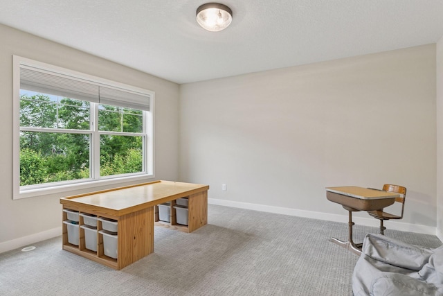 14217 Packard St NE, Ham Lake, MN 55304 - office area with healthy amount of natural light and light colored carpet