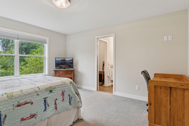 14217 Packard St NE, Ham Lake, MN 55304 - carpeted bedroom with baseboards and ensuite bathroom