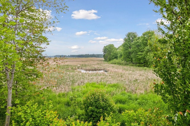 14217 Packard St NE, Ham Lake, MN 55304 - view of undeveloped land with rural landscape