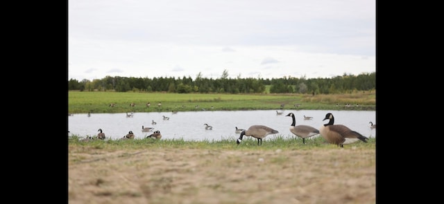TBD Two Rivers Rd, Orwell Twp, MN 56537