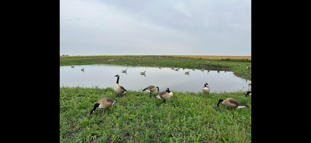 TBD Two Rivers Rd, Orwell Twp, MN 56537