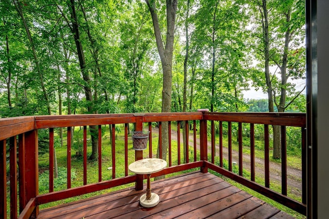 20907 Erickson Ln, Grantsburg, WI 54840 - view of deck