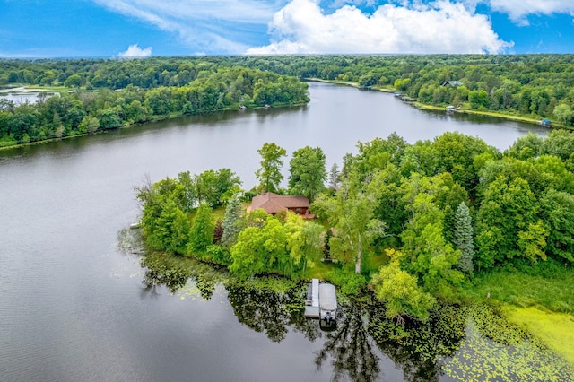 20907 Erickson Ln, Grantsburg, WI 54840 - drone / aerial view of a large body of water and a forest