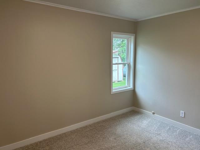 206 3rd St, Minneota, MN 56264 - carpeted spare room featuring healthy amount of natural light and crown molding